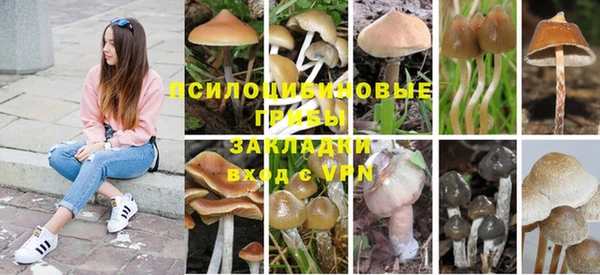 дурь Приозерск