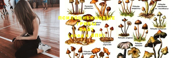кристаллы Пролетарск