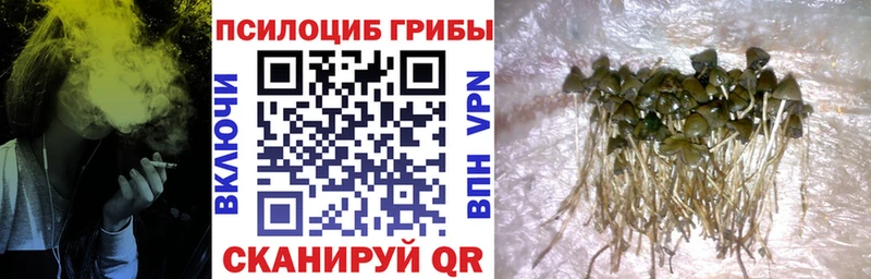 Галлюциногенные грибы ЛСД  Купить  Тайшет